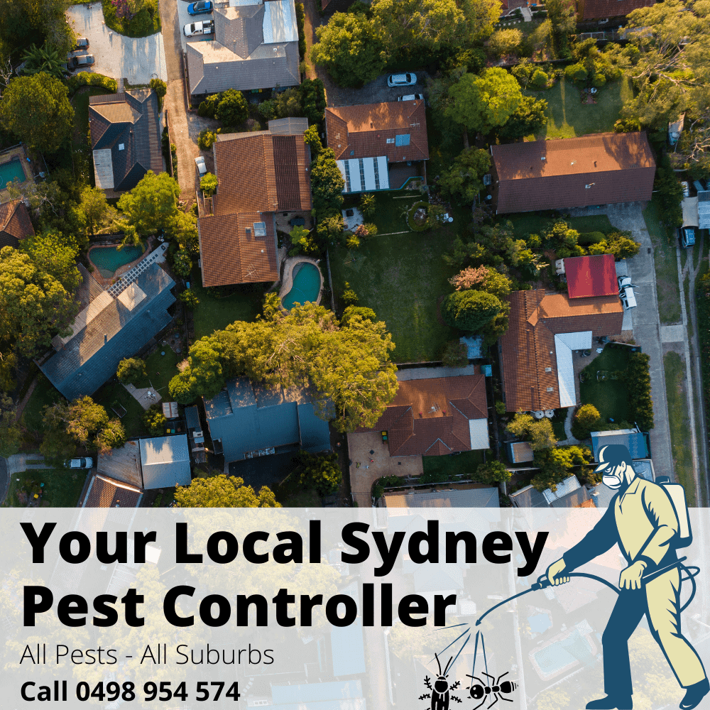 Call Your Local Sydney Pest Controller for all {SUBURBDESC(name)} Pest Problems